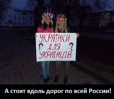 Прикрепленное изображение: 994177_803894289651527_2594226415041243804_n.jpg